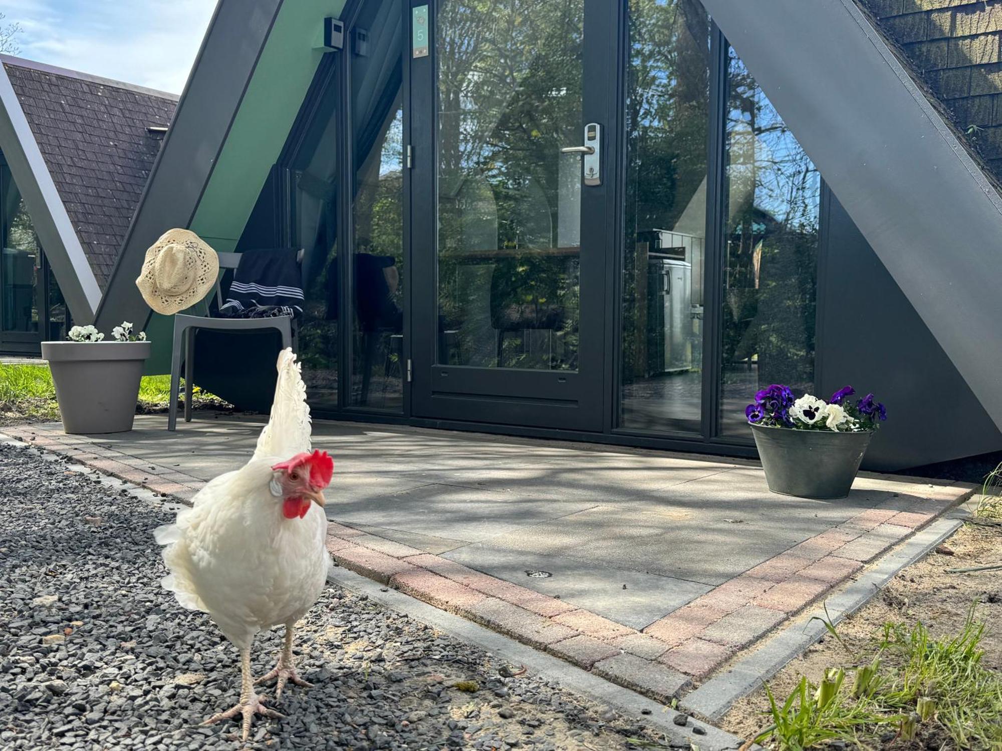 Hotelhuisjes Medemblik Wieringerwerf Extérieur photo