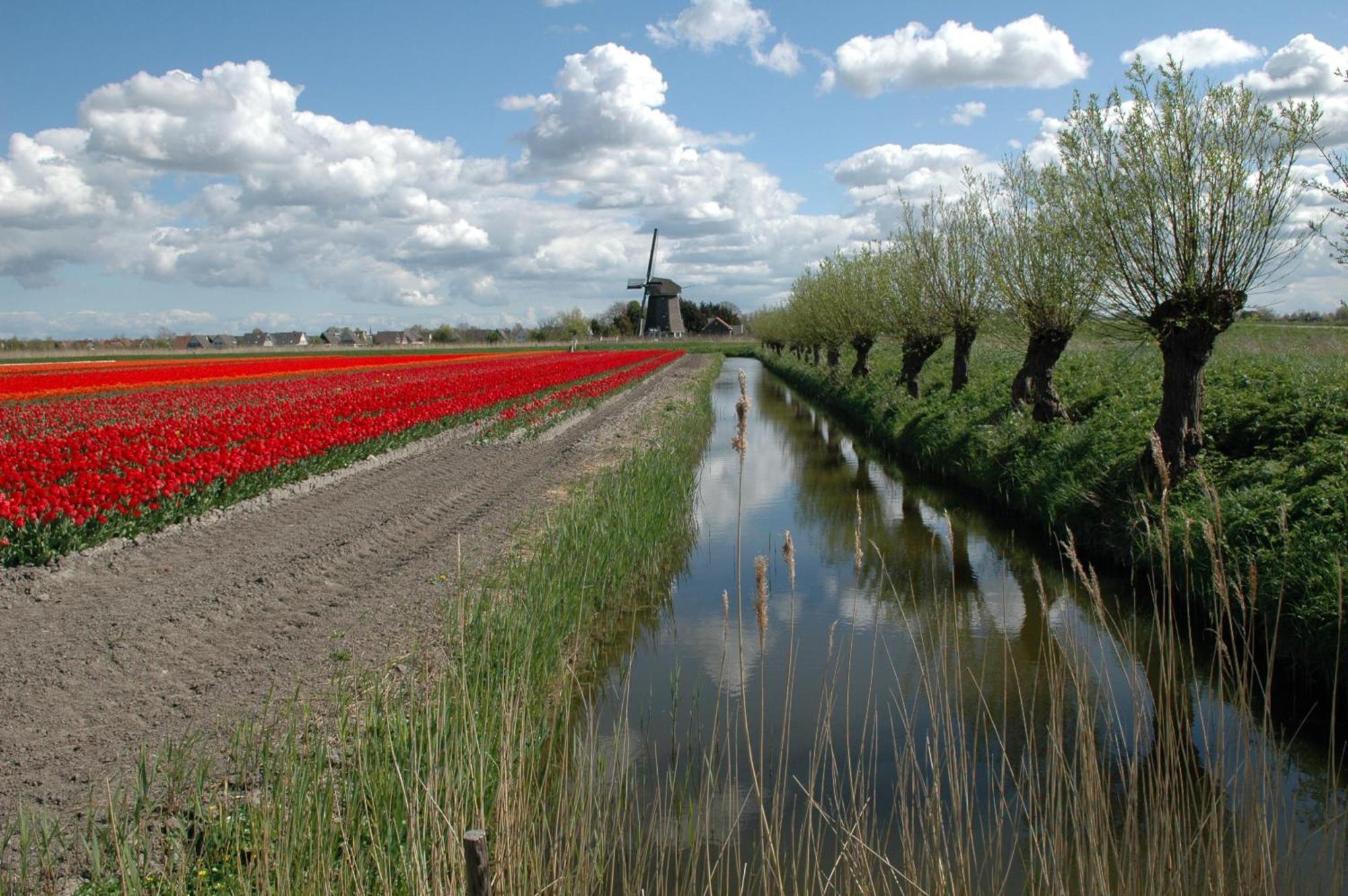 Hotelhuisjes Medemblik Wieringerwerf Extérieur photo